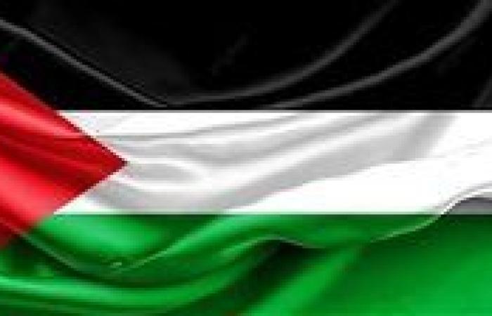 مصر تحيي اليوم الدولي للتضامن مع الشعب الفلسطيني