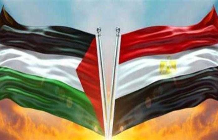 مصر تحيي اليوم الدولي للتضامن مع الشعب الفلسطيني