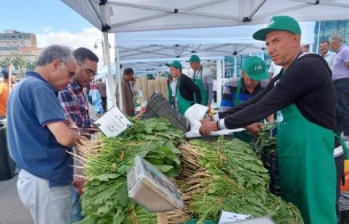 انطلاق "سوق اليوم الواحد" للمزارعين من المنشية وسط الإسكندرية اليوم