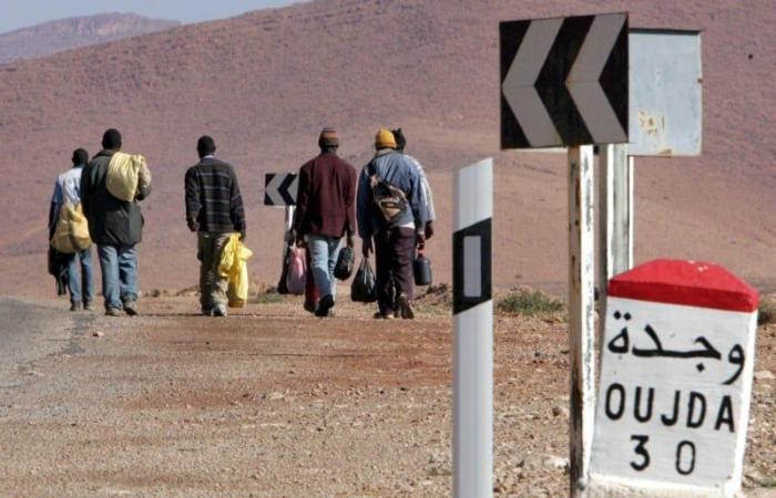 حقوقيون يرفضون الدعوة إلى ترحيل المهاجرين غير النظاميين من المغرب