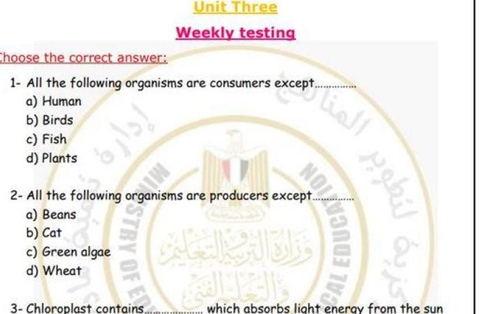 مراجعات نهائية.. أسئلة تقييم الأسبوع الـ 11 العلوم Science لـ الصف الأول الإعدادي