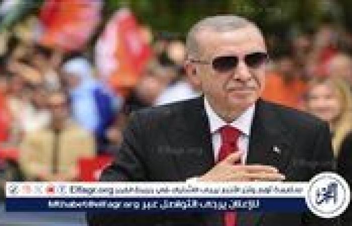 أردوغان: تركيا تسعى لتحقيق الاستقرار في سوريا دون المساس بسيادتها