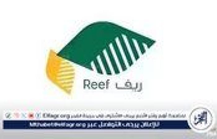 كيفية الاستعلام عن قبولك في دعم ريف عبر reef.gov.sa