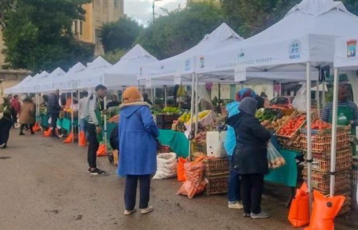 خبير اقتصادي: مبادرات الدولة المصرية أدت لتوافر السلع الغذائية للمواطنين