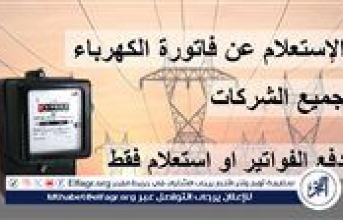 خطوات قراءة العداد ودفع فاتورة الكهرباء 2024