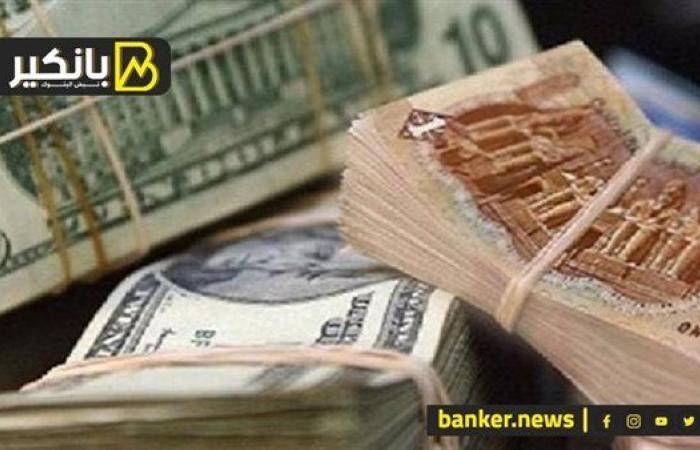 جولدمان ساكس يتوقع ارتفاع سعر صرف الجنيه المصري مقابل الدولار بحلول أوائل عام 2025