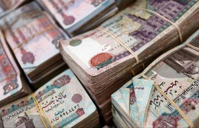 سقوط مدير مسؤول عن إدارة كيان تعليمي وهمي للنصب على المواطنين