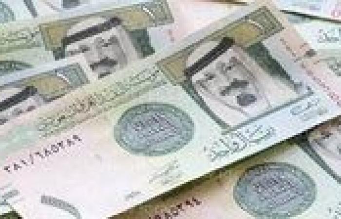 سعر الريال السعودى مقابل الجنيه المصري 16-12-2024