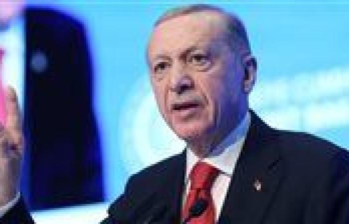 أردوغان: هناك ضرورة لتأسيس إدارة شاملة في سوريا