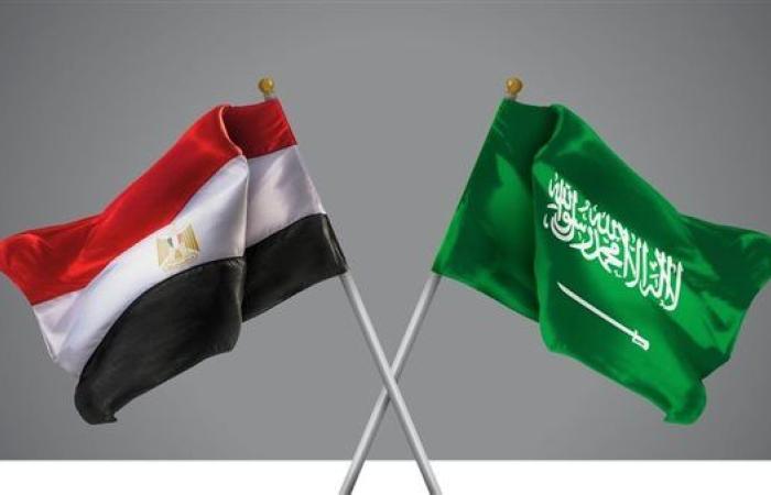 الحكومة توافق على تشكيل "مجلس التنسيق الأعلى المصري السعودي"