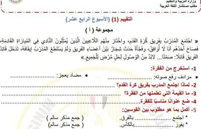 مراجعات نهائية.. لطلاب الصف الرابع الابتدائي.. أسئلة تقييم الاسبوع الـ 14 في اللغة العربية