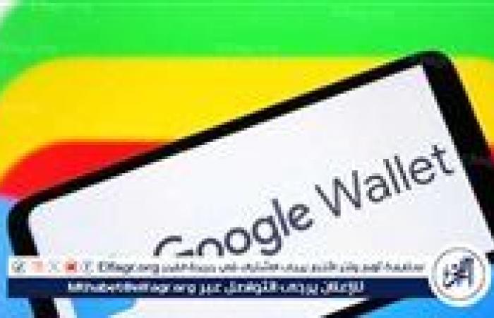 إطلاق محفظة "Google Wallet" في مصر: كل ما تحتاج معرفته