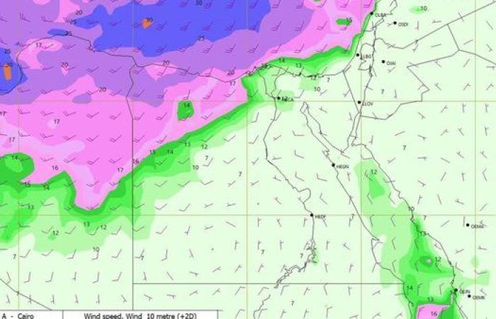 الأرصاد تحذر من طقس الغد.. انخفاض بدرجات الحرارة ورياح مثيرة للرمال والأتربة