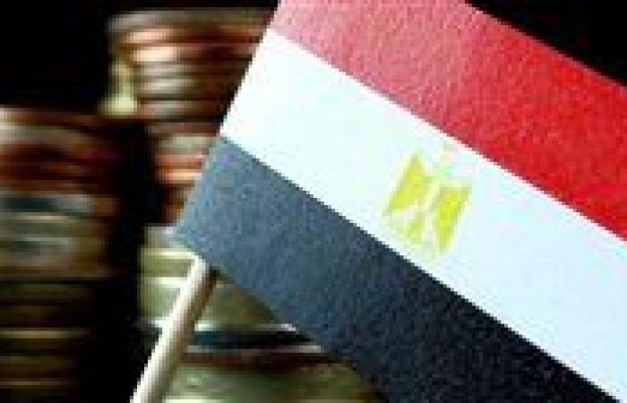 أستاذ تمويل يوضح دلالات سداد مصر 38 مليار دولار خلال 2024