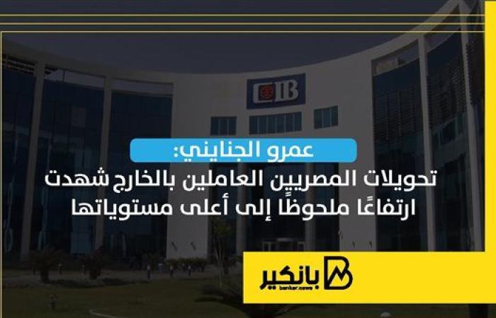 عمرو الجنايني: تحويلات المصريين العاملين بالخارج شهدت ارتفاعًا ملحوظًا إلى أعلى مستوياتها