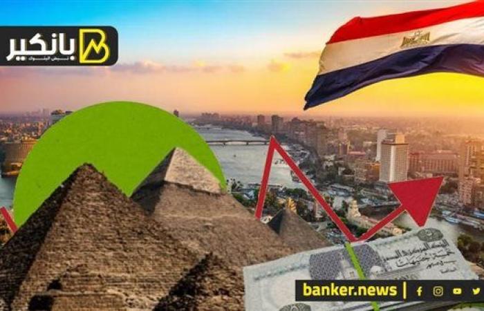 دعم غير مسبوق للزراعة والصناعة والسياحة.. بنوك مصر ضهر البلد وقت الأزمات الكبرى