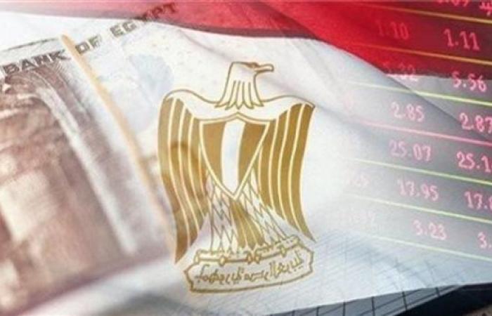 انطلاقة كبرى للاقتصاد المصري في 2025.. وأخبار سارة ...