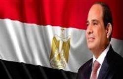 رئيس مجلس النواب يهنئ الرئيس السيسى بذكرى تحرير سيناء