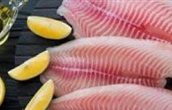 أسعار السمك اليوم الثلاثاء 23 - 4 – 2024 في السوق المصري