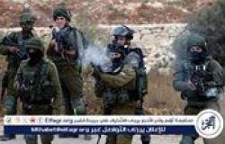 عاجل| جيش الاحتلال: نجحنا في اعتراض هدفين جويين فوق المجال البحري شمال إسرائيل
