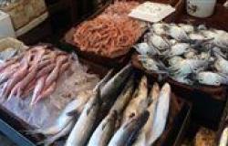 أسعار السمك اليوم الأربعاء 24 - 4 – 2024 في السوق المصري