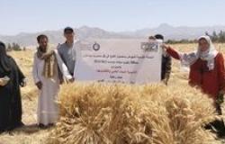 الزراعة: البحوث الزراعية وبحوث الصحراء يتابعان نتائج المشروعات البحثية وبرامج التنمية الزراعية بجنوب سيناء