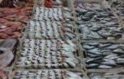 عاجل| دعوات لمقاطعة الأسماك في القاهرة الكبرى (فيديو)