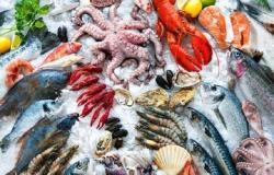 انخفاض أسعار الأسماك اليوم الجمعة 26 أبريل 2024 بسبب حملة المقاطعة