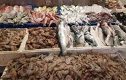أسعار السمك اليوم السبت 27 - 4 – 2024 في السوق المصري