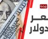 سيطرة.. سعر الدولار مقابل الجنيه المصري في البنوك والسوق السوداء اليوم