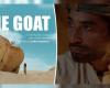 فيلم The Goat مُتاح للجمهور بالسينمات المصرية .. نال 10 جوائز بمهرجانات عالمية