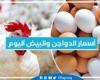 أسعار الدواجن والبيض اليوم السبت 21-9-2024 في المنيا