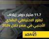 بزيادة 11.7 مليار دولار.. تطور الاحتياطي النقدي الأجنبي في مصر خلال 2024