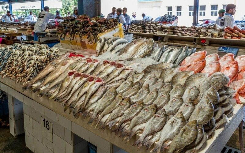 ‘‘ المقاطعة شغالة ‘‘ أسعار السمك اليوم الاحد 28 ابريل 2024 بسوق العبور في مصر