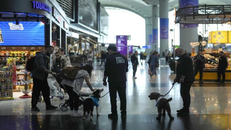 مشروع تجريبي جديد في مطار إسطنبول.. 5 كلاب لتهدئة المسافرين
