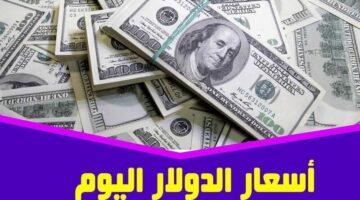 سعر السوق السودا والبنوك..بكام تحويل من جنيه إلى دولار و100 دولار امريكي كم جنيه مصري اليوم