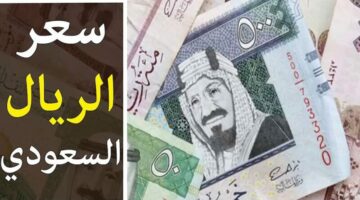 سعر صرف الريال السعودي مقابل الجنيه المصري اليوم الأربعاء 1 مايو 2024 في السوق السوداء والبنوك